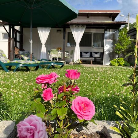 Charmante Petite Maison Transylvanie Villa Sacele Ngoại thất bức ảnh