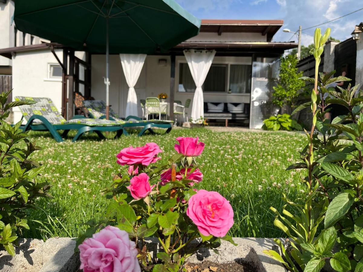 Charmante Petite Maison Transylvanie Villa Sacele Ngoại thất bức ảnh