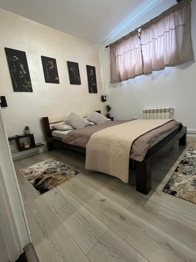 Charmante Petite Maison Transylvanie Villa Sacele Ngoại thất bức ảnh